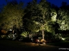 Moonlighting