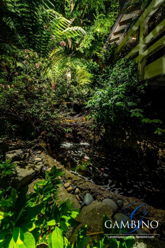 Mancuso-Gersh-15-1-of-1