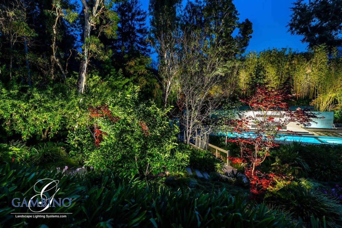 Mancuso-Gersh-18-1-of-1