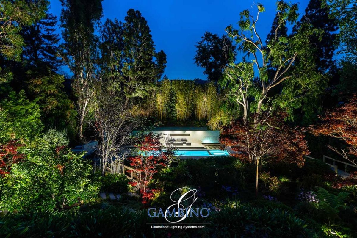 Mancuso-Gersh-19-1-of-1