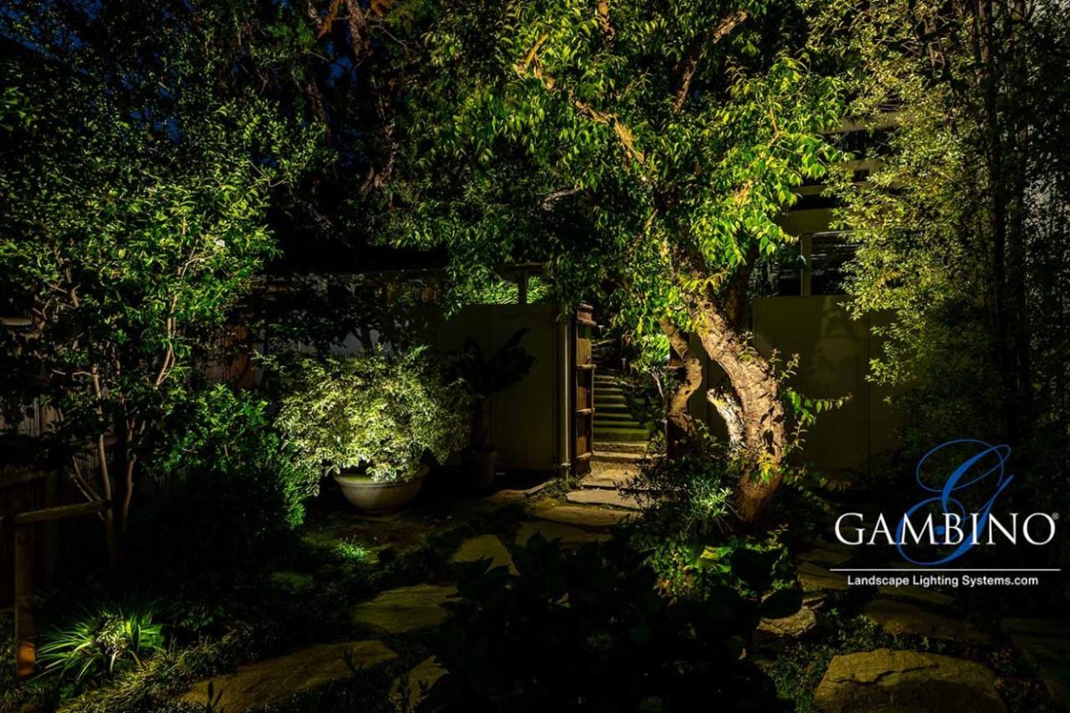 Mancuso-Gersh-27-1-of-1