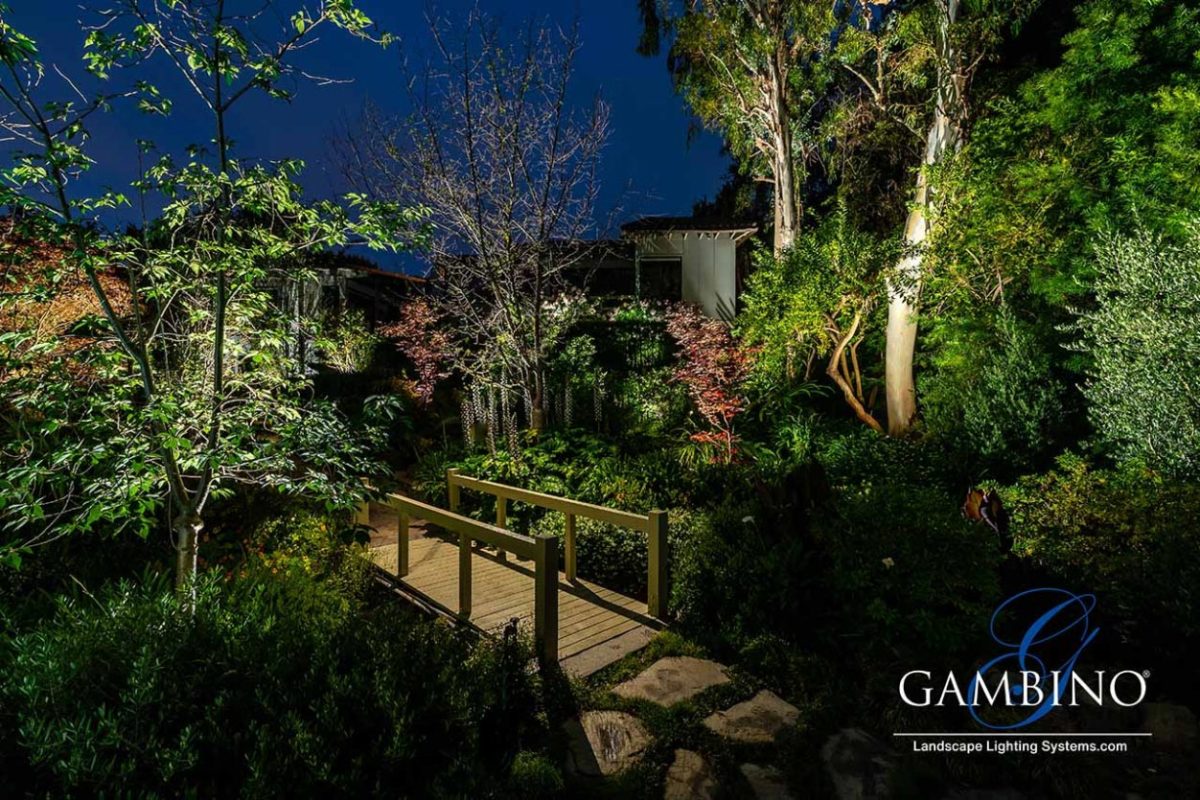 Mancuso-Gersh-29-1-of-1