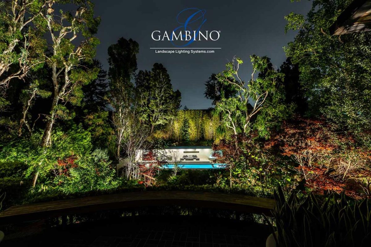 Mancuso-Gersh-35-1-of-1