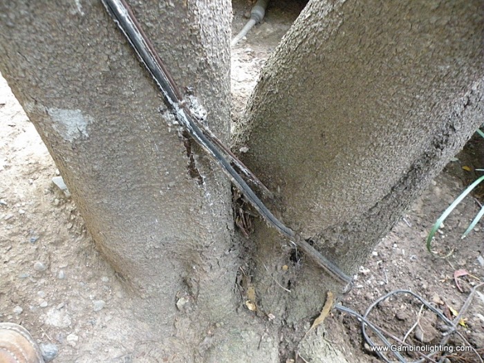 Gambino Landscape Lighting Safely attaching fixtures and cable to trees